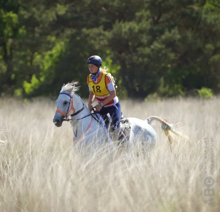 Joyce van den Berg behoudt vierde plek op FEI-ranking featured image