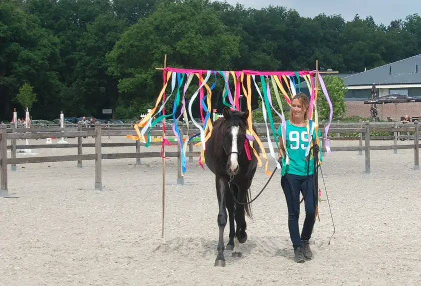 Veelzijdige derde editie van de Paard&Leven Dag featured image
