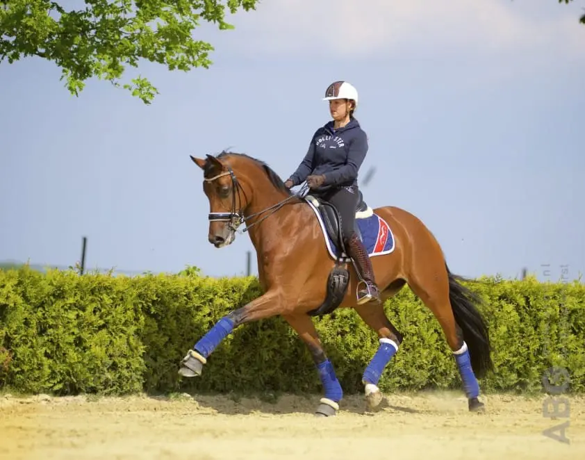Dana van Lierop verder zonder Walkuere featured image