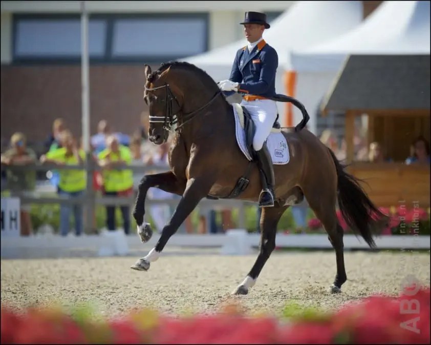 Grand Prix-hengst Glock’s Johnson TN neemt afscheid van de sport featured image