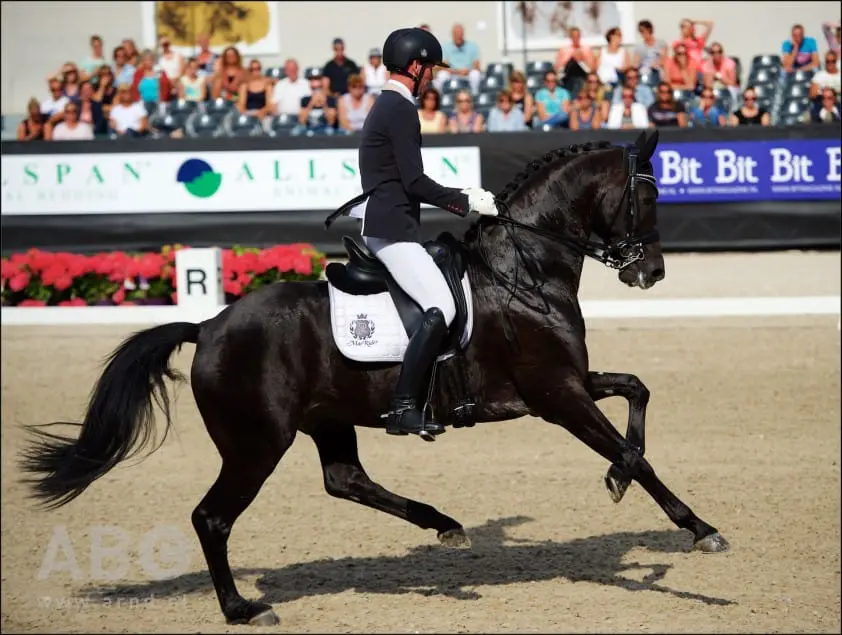 Van Silfhout haalt met Cupido alles uit de kast featured image