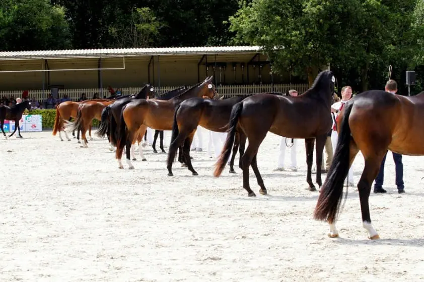 Leren van elkaar featured image