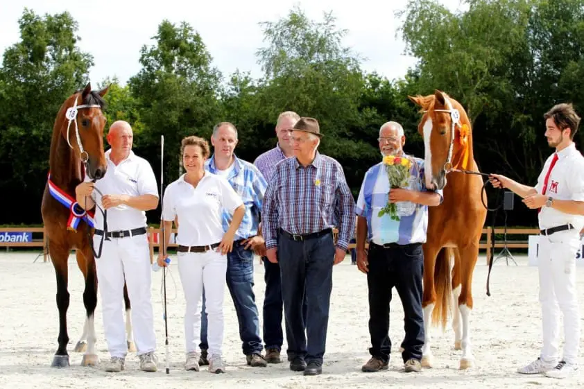 Feestje voor tuigpaardfokkers van het jaar de Gebroeders Den Otter featured image