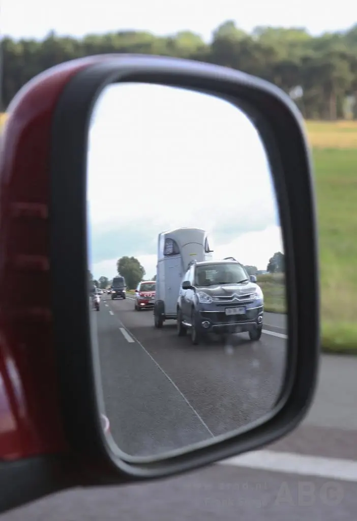 Paard overleeft frontale botsing tegen trailer featured image