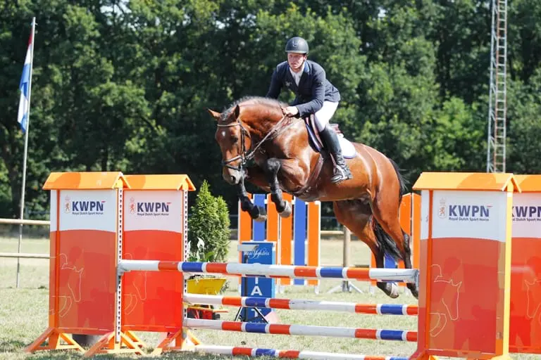 Verrichtingstopper Fly debuteert met nieuwe ruiter featured image