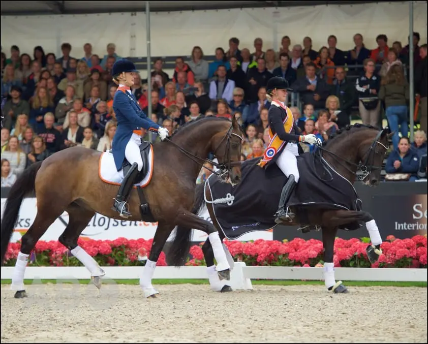Denise Nekeman en Boston STH vlammen opnieuw featured image