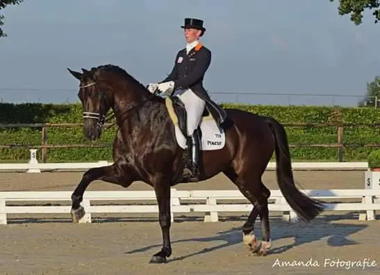 Imke Schellekens en Toots starten Grand Prix in Geldrop featured image