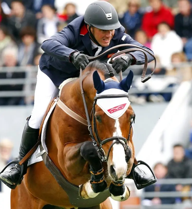 BWP-hengsten domineren vijfjarigen featured image