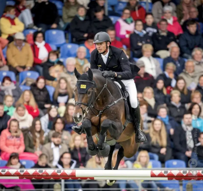 Selle Français keurt vijf niet-Frans gefokte GP-hengsten goed featured image