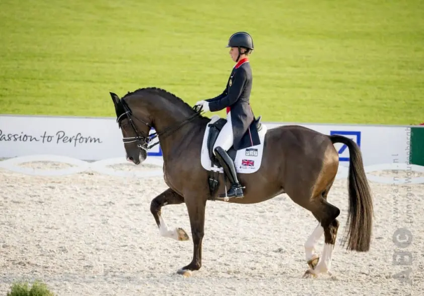 Droom fokkers komt uit: kleinkinderen rijden op Valegro featured image
