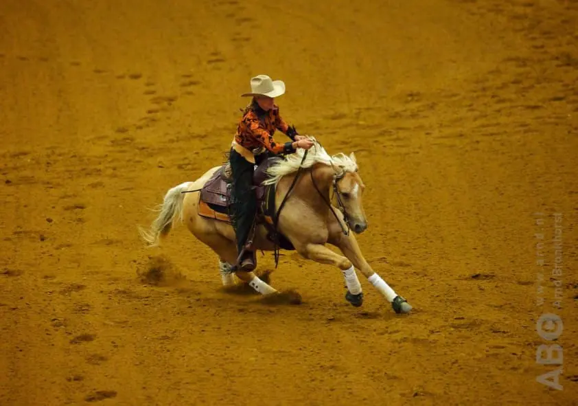 Reining vanaf 2022 geen FEI-discipline meer featured image