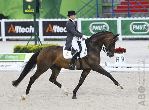 Gribaldi-zoon Escort naar zege Intermediare I kür op muziek featured image