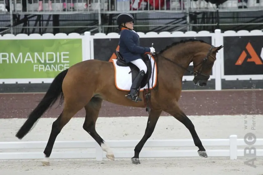 Para-amazone Demi Vermeulen in het ziekenhuis featured image