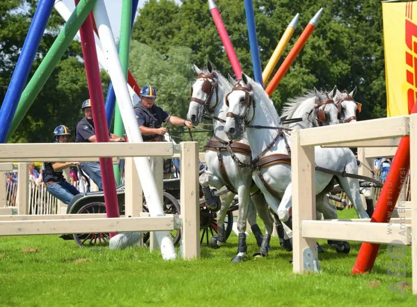 Felix Brasseur neemt na EK afscheid van sport featured image