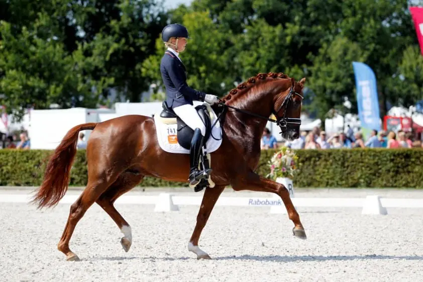 Brouwer en Five Star winnen ‘pittig’ ZZ-Zwaar debuut featured image
