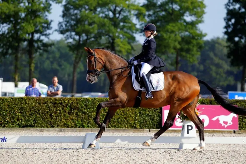 Jeanine Nieuwenhuis met twee zesjarige paarden naar WK featured image