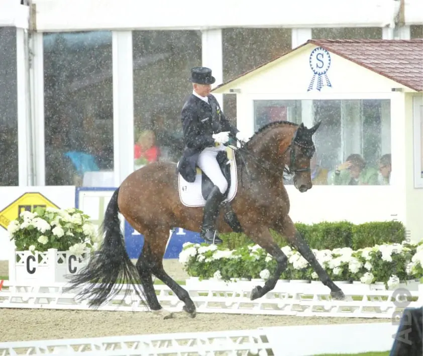 Overtuigende zege Hubertus Schmidt in Grand Prix Verden featured image