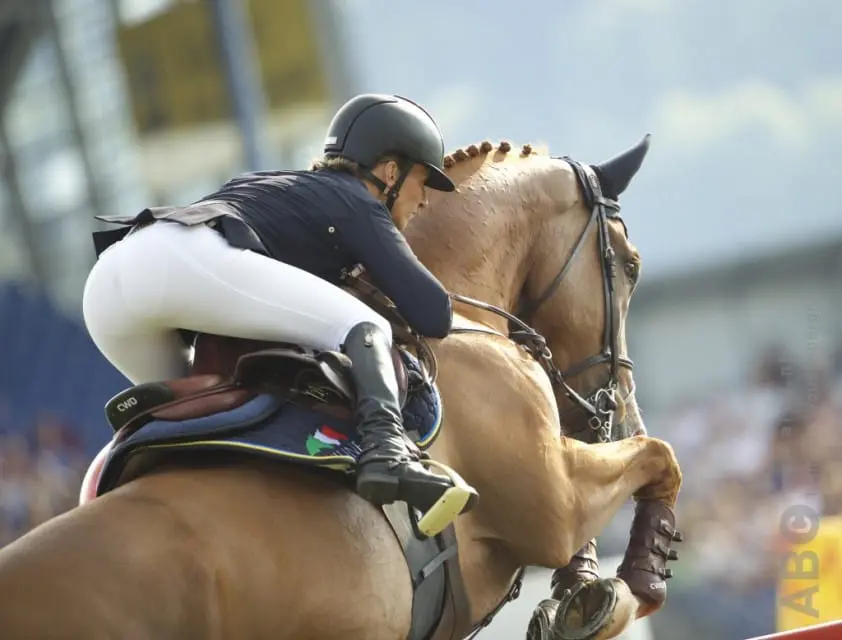 Katharina Offel neemt afscheid van toekomstpaard Lord Larry featured image