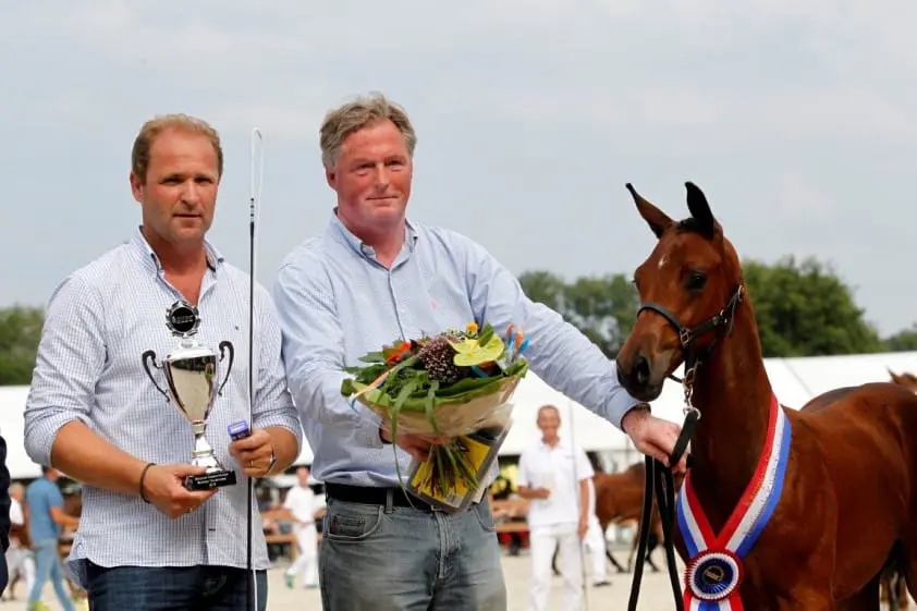 Geniaal levert veulenkampioen uit eerste jaargang featured image