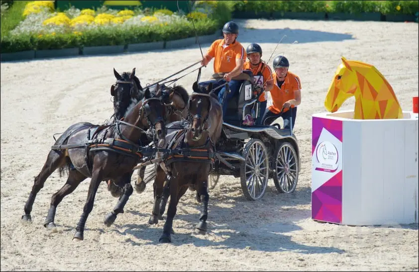 Chardon wint, Weusthof illusie armer featured image