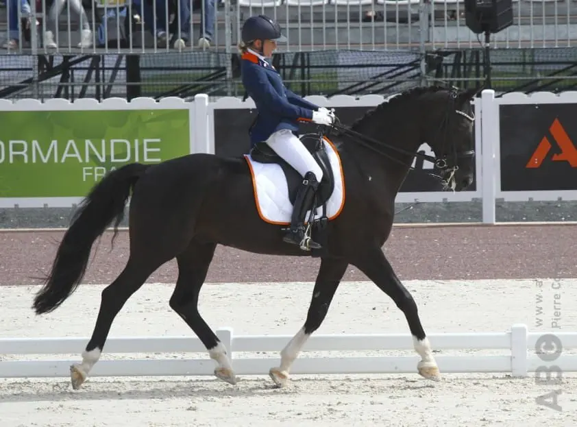 Rixt van der Horsts Uniek overleden featured image