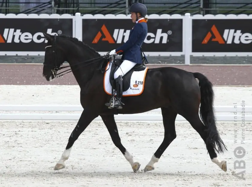 Van der Horst wint landenproef Deauville featured image