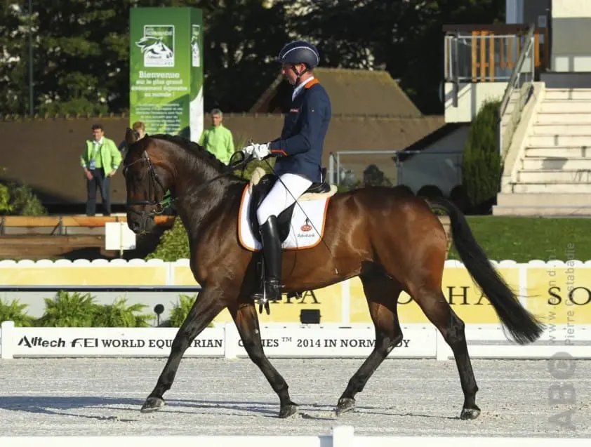Frank Hosmar opnieuw onverslaanbaar in Para-dressuur Trophy featured image