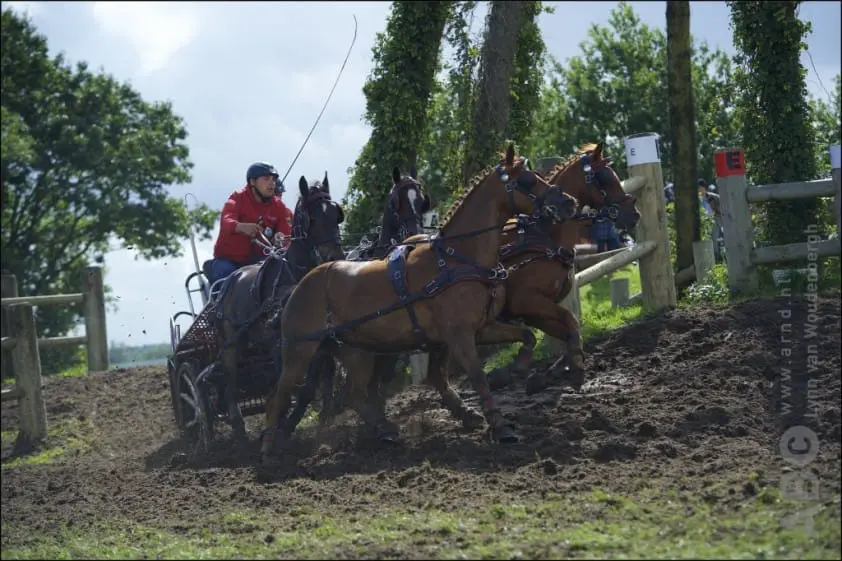 Duitse longlist voor WK vierspannen Breda bekend featured image