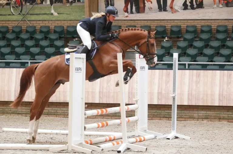 Hotspot aangeleverd voor verrichtingsonderzoek KWPN featured image