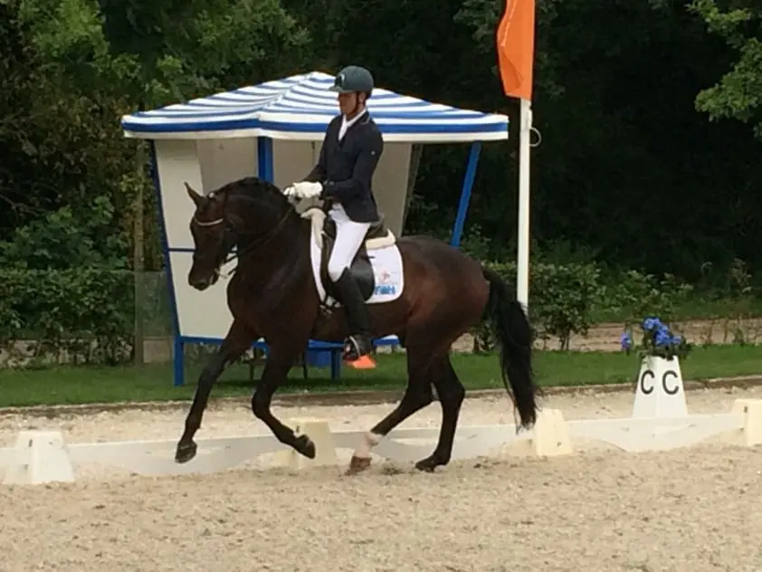 Hergen van Hall maakt winnend ZZ-Zwaar debuut featured image
