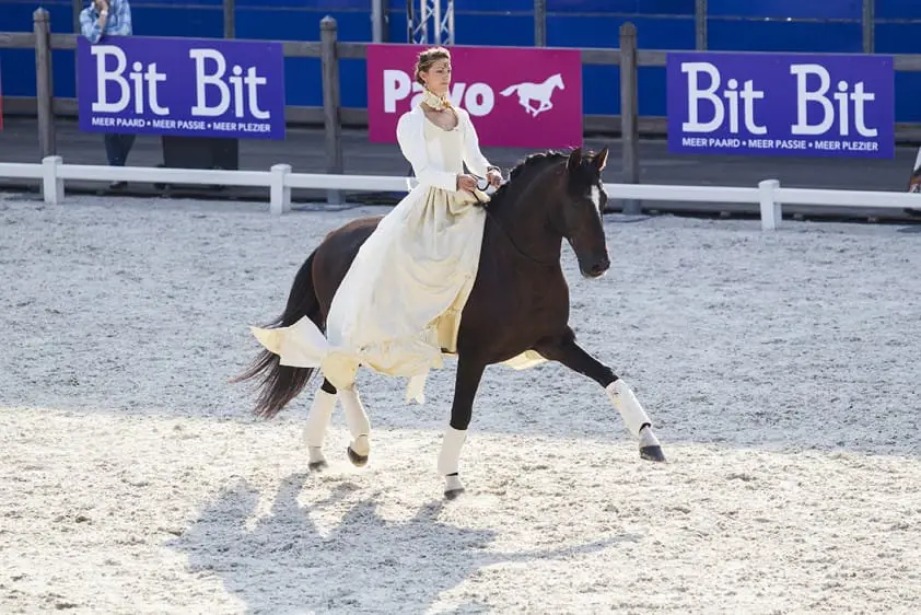 Alizee Froment’s Mistral du Coussoul met pensioen featured image