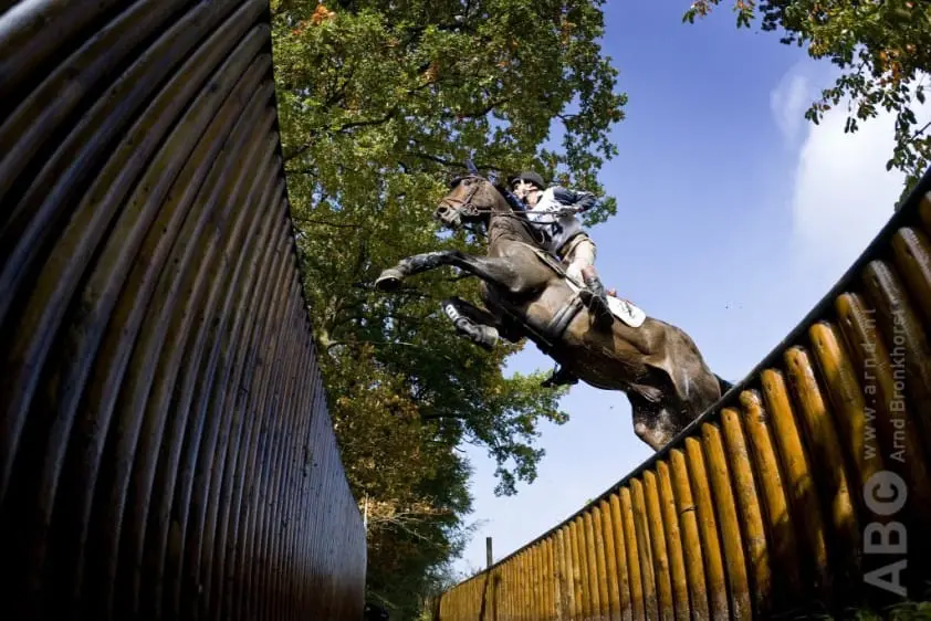 FBW Chico overleden featured image