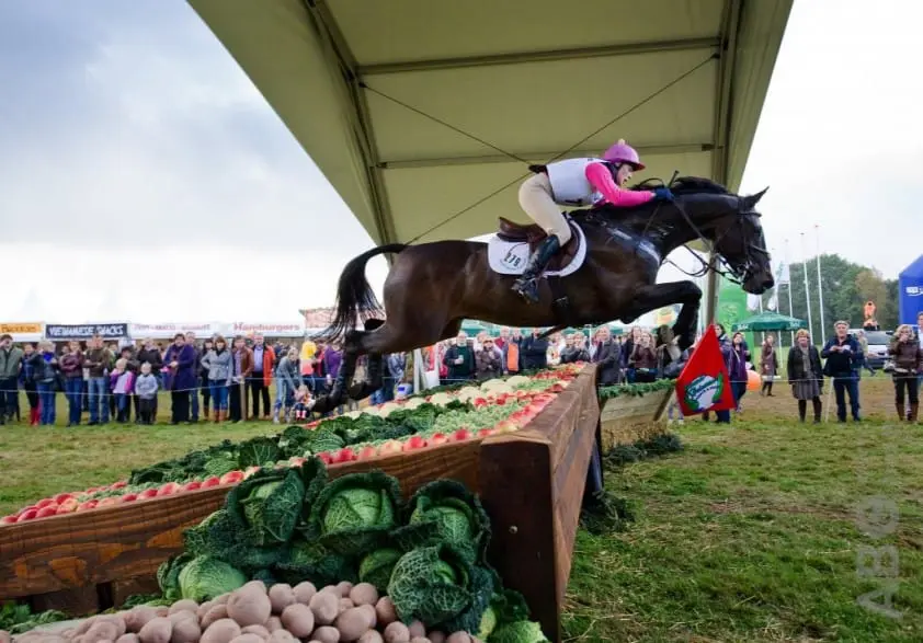 Spannende ontknoping FEI Nations Cup in Boekelo featured image