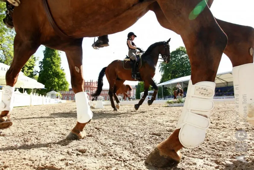 Zijn specifiek opgeleide toezichthouders in alle disciplines noodzakelijk? featured image