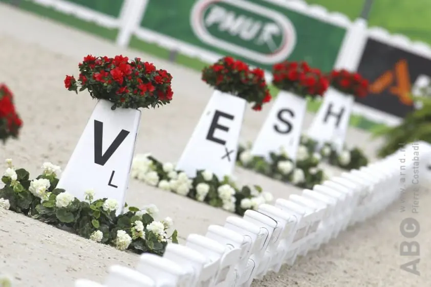 Top ZZ-Zwaar debuut voor Gabriëlle Rost en Bibi Vita featured image