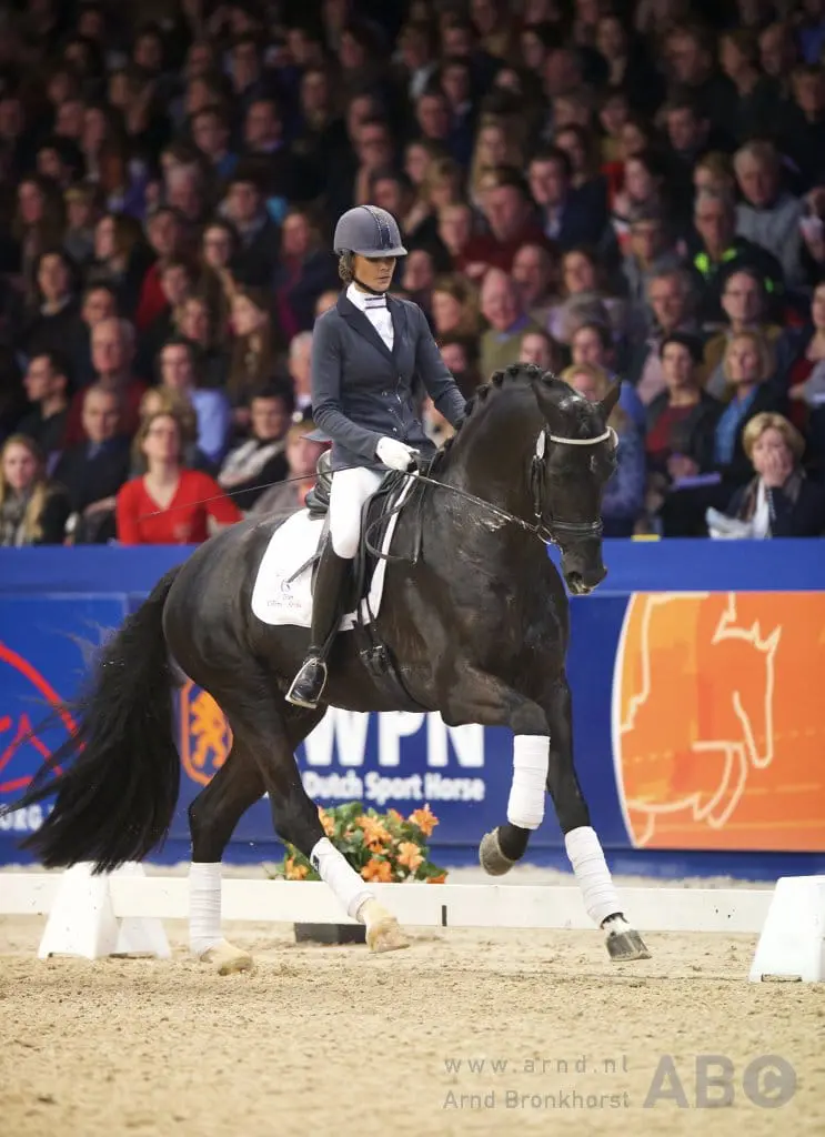 KWPN-hengst Fellini naar Joyce Lenaerts featured image
