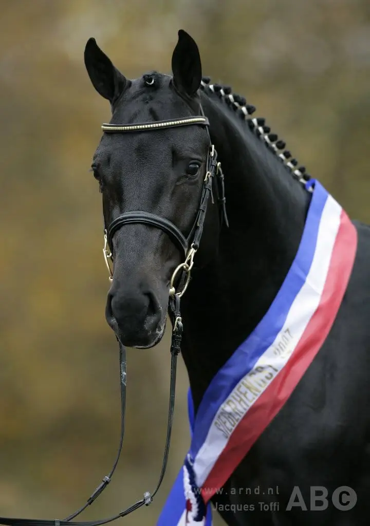 Diarado voor vierde jaar op rij WBFSH Ranking eventing, zoon Diacontinus grootste stijger featured image