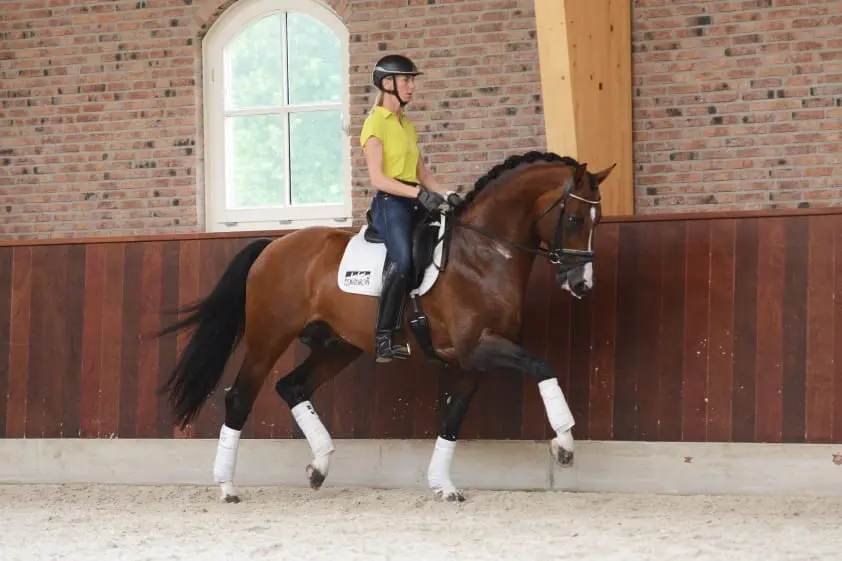 Overtuigende zege voor Imke Schellekens en stoere CJ featured image