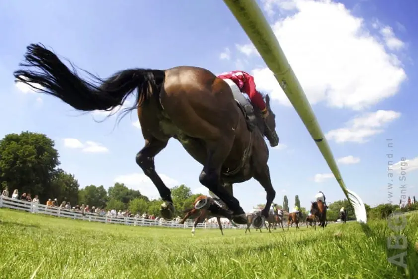 22 paarden ingeslapen op de renbaan van Santa Anita Park featured image