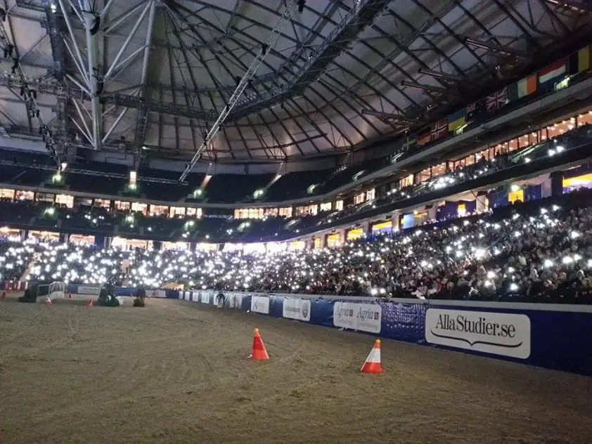 Zweeds paard sterft tijdens warming-up WB vierspannen *Update* featured image