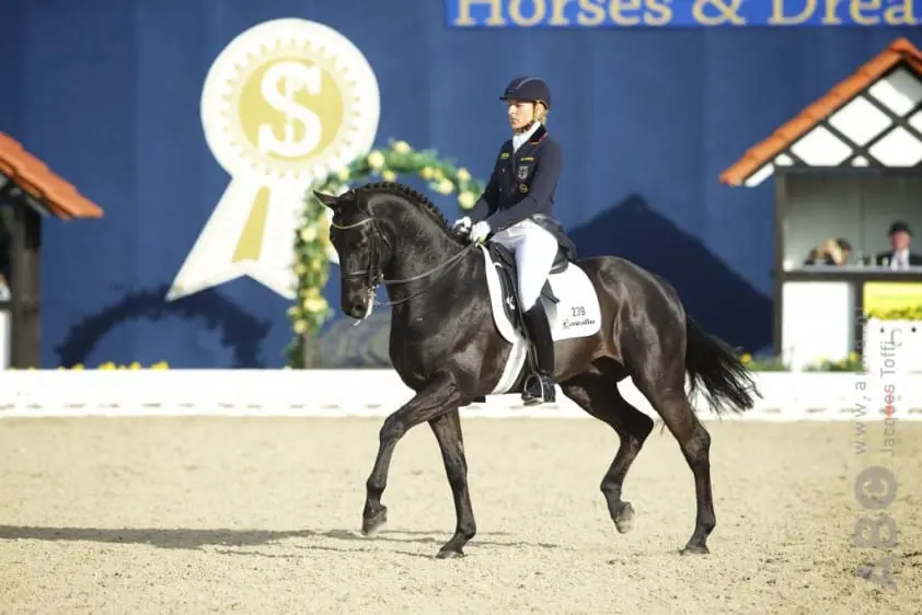 Klimke en Freese winnen opwarm-ronde Nurnberger Burgpokal featured image