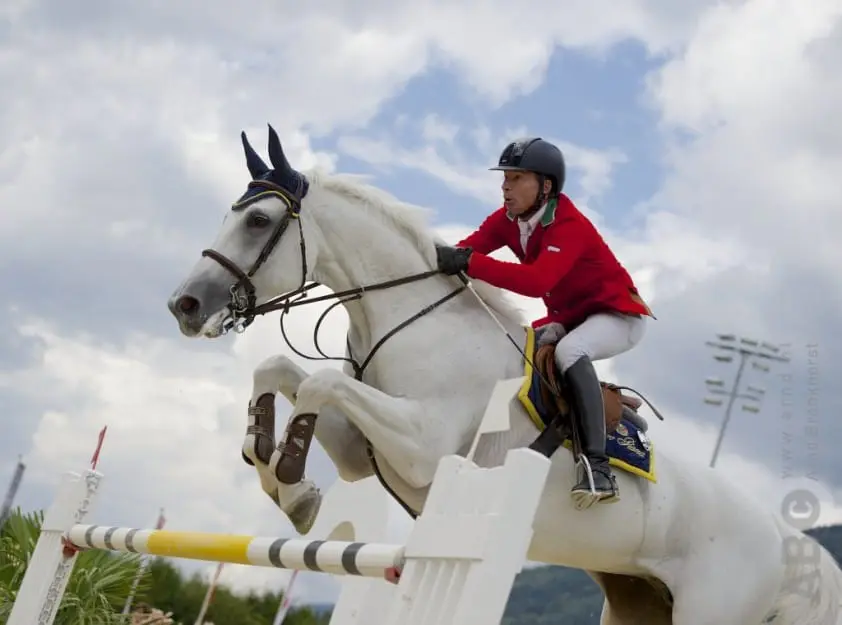 Italiaanse veteraan wint 1,50m in Verona featured image