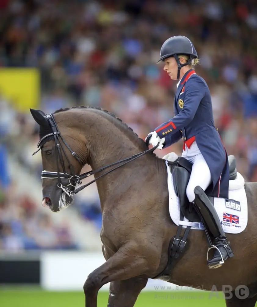 Afscheid Valegro te volgen via live-uitzending featured image