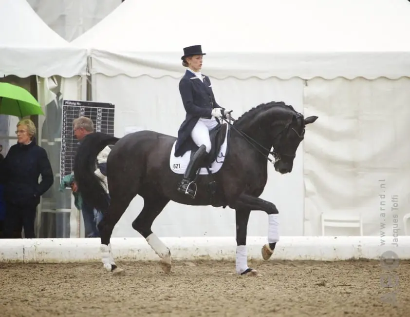 Isabell Werth met Weihegold OLD naar Jumping Amsterdam featured image