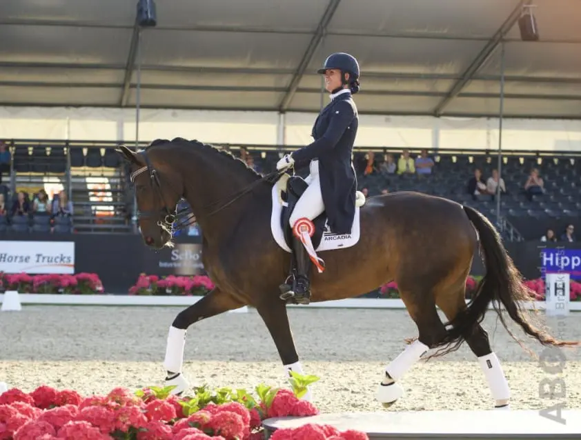 Hennie Roffel naar Ted Kop Jansen featured image