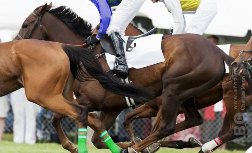 Britse amazone turnt renpaard van 600 dollar om tot Grand Prix-paard featured image