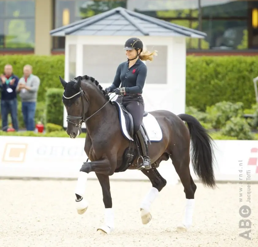 Dressuur Gala Peterhof afgelast voor 2016 featured image
