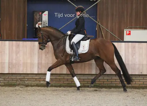 Hannelinde met 175.000 euro naar topscore featured image