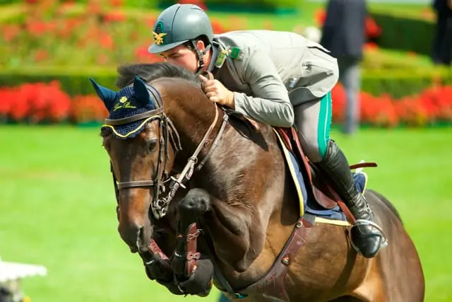 Deze week… ‘Iedere ruiter wil een paard als Admara hebben’ featured image