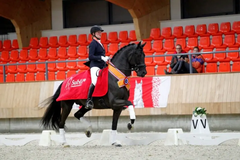 Nijvelt en Elysias op kop in halve finale zevenjarigen featured image